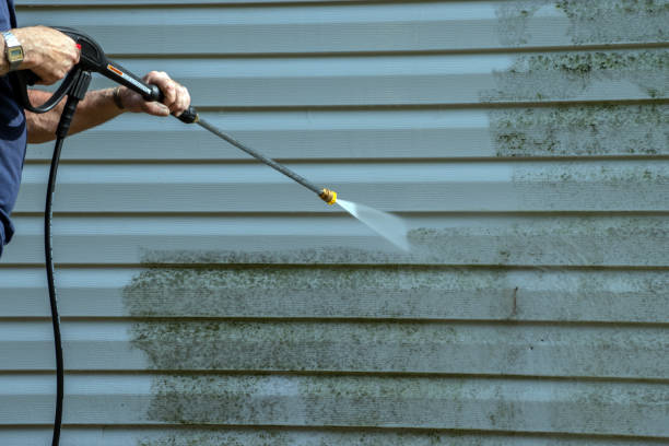 Best Roof Power Washing Services  in Esko, MN